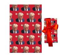 Papier de vacances amusant - Feuilles de 20 x 28 pouces, emballages de Noël créatifs, papier humoristique | Emballage de fête pour amis, cadeaux de famille,