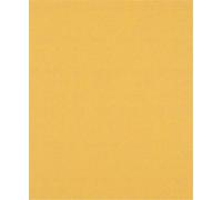 Papier de verre BOSCH EXPERT C470, P120, 230x280mm, 1/50 pc 2608900961