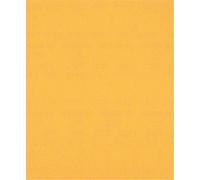 Papier de verre BOSCH EXPERT C470, P220, 230x280mm, 1/50 pc 2608900964
