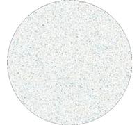 Papier de verre de remplacement pour disque de pédicure Pro L grossier 100 (tampons de recharge blancs pour disque de pédicure) 50 pcs