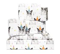 Papier d'emballage d'anniversaire - Chats en chapeaux de fête - 6 feuilles de papier d'emballage pour elle - Pour filles et garçons - pour propriétaire d'animal avec étiquettes - par Central 23
