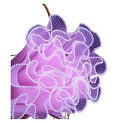 Papier d'emballage de fleurs en tulle | Tulle d'emballage de fleurs multicolore 28 Cm X 4 Yards for décor de bouquet(Pink Pearl)