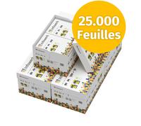 Papier d'impression papier à copier 25000 feuilles A4 80g PEFC Infowerk
