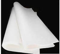 Papier Filtre Qualitatif, Qualitative Filter Paper 60cm x for Cooking DIY Projects 5pcs Medium Slow Fast(Fast)