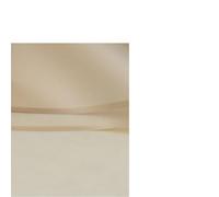 Papier Fleuriste 30 pièces de papier d'emballage fleurs brouillard | Matériel de bouquet de fleuriste d'emballage de meulage de rose à moitié transparente de cadeau(Golden)
