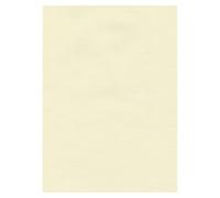 Papier Ingres The Collection 100 G Sur M² 48 X 62,5 Cm Ivoire
