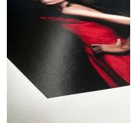 Papier jet d'encre HAHNEMÜHLE FineArt Baryta Satin - 300g - 17" (43,2cm x 12m)