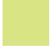 Maildor Clairefontaine Papier couleur 50x65 cm 25 feuilles 120 g Vert pomme recyclé lisse cartonné
