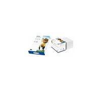 Papier multifonction dynamic, A4, 80 g/m2, blanc