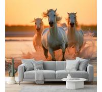 Papier Peint 200 x 140 cm Papier Peint Intissé Gros plan Coucher de soleil Animaux Chevaux Papiers Peints Panoramique Pour Salon Chambre Chambre D'Enfant Décoration couleur imprimé Mural