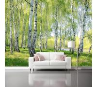 Papier peint 200 x 140 cm Revêtement mural décoration pour chambre salon cuisine - Design unique et moderne Nature Forêt de bouleaux Forêt papier peint non tissé Vert Blanc