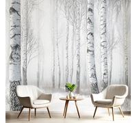 Papier Peint 3D Blanc Cassé Forêt De Bouleaux Brumeux 300X210Cm Poster Geant Mural Panoramique Peinture Murale Interieur Paysage D'Hiver Pour Salon Chambre À Coucher D'Enfant Maison Décoration
