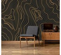 Papier Peint 3D Doré Abstrait Rayures Lignes Art | Facile à Installer Cette Décoration Luxueuse Est Idéale Pour un Bureau Salon une Chambre ou Mur Derrière le TV-300cm×210cm