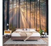 Papier Peint 3D Effet Panoramique Photo Muraux 450x315 cmm, Poster Intissé Mural ForêT de Pins Matinale Geant Mural Salon Chambre D'enfants Restaurant Décoration Murale, Soleil D'Or