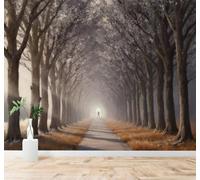 Papier Peint 3D En Trois Dimensions Forêt Route Soleil Personnages | Fresques Murales et Créatives Décoration D'intérieur Pour le Bureau Salon la Chambre Coucher Canapé Mural de Luxe-150cm×105cm