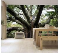 Papier Peint 3D En Trois Dimensions Fraîcheur Forêt Grands Arbres Paysage | Fresques Murales et Créatives Décoration D'intérieur Pour le Bureau Salon la Chambre Coucher Canapé Mural de Luxe-200cm×140cm