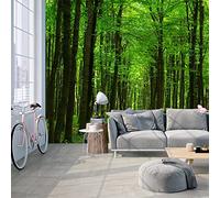Papier Peint 3D forêt Tapisserie Peinture Murale Papier Peint 3D Photo Poster Fresque Salon Chambre Bureau Couloir Mural Décoration 200cm×140cm(LxH)