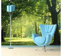 Papier Peint 3D Fraîcheur Vert Forêt Soleil Paysage Naturel | Facile à Installer Cette Décoration Luxueuse Est Idéale Pour un Bureau Salon une Chambre ou Mur Derrière le TV-350cm×256cm