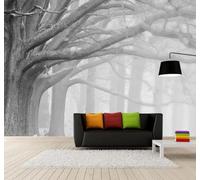 Papier Peint 3D Grand Format Rétro Noir Et Blanc Forêt Brume Blanche | Facile à Installer Cette Décoration Luxueuse Est Idéale Pour un Bureau Salon une Chambre ou Mur Derrière le TV-350cm×256cm