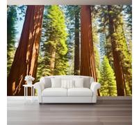 Papier Peint 3D Gros plan Parc Séquoias 350 x 256 cm Panoramique Peinture Murale Interieur pour Salon Chambre à Coucher D'Enfant Maison Décoration Murale Coloré