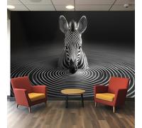 Papier peint 3d, Illusion d'Optique Zèbre aux Rayures Noir et Blanc à Contraste Élevé Créant un Effet de Mouvement, Moderne pour Mur d'Accent Salon Chambre