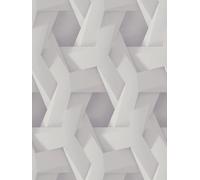 Papier Peint 3D Motif Graphique Gris Clair Avec Effet Béton