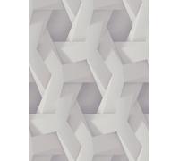 A.S. Création PintWalls 387211 Papier peint intissé effet 3D Gris et blanc 10,05m x 0,53m