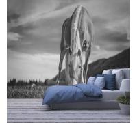 Papier Peint 3D Murale Auto-Adhésive Décoration Murale Salon Chambre Personnalisée Cheval Animal 350(W) X256(H) Cm 3D Wallpaper Colle Salon The Wall For Bedroom Mur Photo-388493
