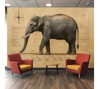 Papier Peint 3D Polyester Design Topographique Éléphant Tons Sépia Vintage Murale 3D pour Salon Chambre à Coucher Salle de Détente Escalier Hall Imperméable