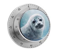 Papier Peint à Motif de Phoque du Groenland, minuteur de Cuisine en Acier Inoxydable, minuteur à œufs magnétique, Compte à rebours de 60 Minutes, à remontage mécanique, idéal pour la Salle de Classe,