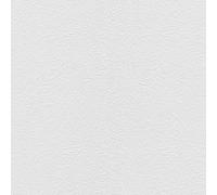 Papier peint à peindre 11032-01 Intissé Uni 1.06 x 25 m RollOver27 Erismann