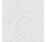 papier peint à peindre 178128 papier peint intissé graphique 106 x 2500 cm Rasch Wallton 2025 blanc