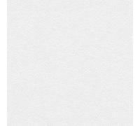 Papier peint à peindre 316011 A.S. Création Meistervlies 2020 | Papier excellent rapport qualité/prix