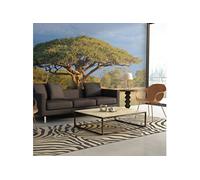 Papier peint Acacia africain Parc national Hwange, Zimbabwe-Taille L 200 x H 154 cm