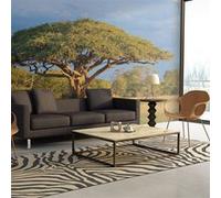 Papier peint Acacia africain Parc national Hwange, Zimbabwe-Taille L 250 x H 193 cm Imprimé G