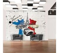 Papier peint Admirer of cars (France) 2-Taille L 250 x H 193 cm Imprimé G