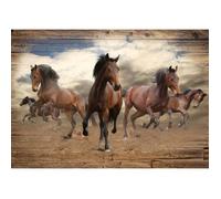 Papier Peint Animaux 368x254 cm Panoramique Chevaux Salon Chambre Photo Non Tissé Intissé Muraux Trompe l'oeil