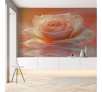 Papier Peint Autocollant Fleur Roses 3D Romantic Papier Auto-Adhésif Floral Gouttes d'eau Réaliste Wallpaper Panoramique Mural Décoration Murale pour Meuble Salon Chambre 200 x 150 cm