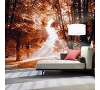 Papier peint Autumn Park-Taille L 150 x H 105 cm Imprimé G