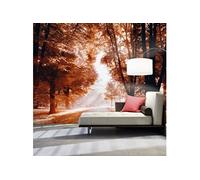 Papier peint Autumn Park-Taille L 400 x H 280 cm Imprimé G