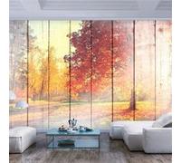 Papier peint - Autumn Sun - 350x245 (49881)