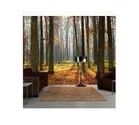Papier peint Autumn trees-Taille L 250 x H 193 cm