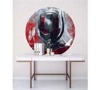 Papier Peint - Avengers Painting Ant-Man 125x125cm - Rond - Intissé - Adhésif, Multicolors