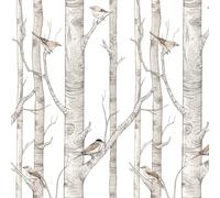 Papier peint bébé Dekornik Birch Forest Beige 280x50 cm