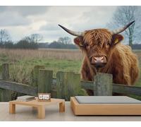 Papier Peint Bétail Des Highlands 3D Auto Adhesif Panoramique Mural Animaux de la Ferme Papier Peint en Soie Poster XXL Décoration Murale Salon Chambre 350x250 cm A-5685