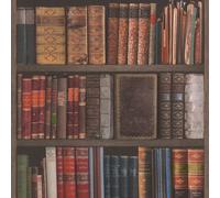 Papier Peint Bibliothèque Antique Encyclopédie Or Argent Noir Rose Gris