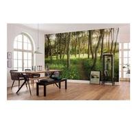 Papier Peint - Blütenzauberwald 450x280cm - Intissé, G