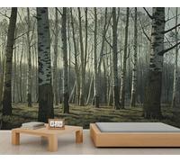 Papier Peint Bouleaux 3D Auto Adhesif Panoramique Mural Forêt Papier Peint en Soie Poster Trompe L'oeil Décoration Murale Salon Chambre 200x140 cm A-6088