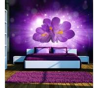 Papier peint Breath of spring-Taille L 100 x H 70 cm