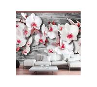 Papier Peint "Callous Orchids" 245 x 350 cm